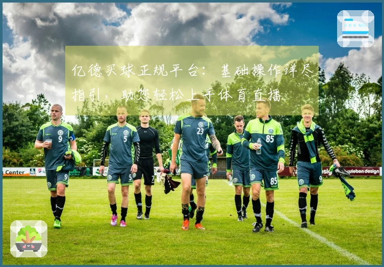 亿德买球正规平台：基础操作详尽指引，助您轻松上手体育直播