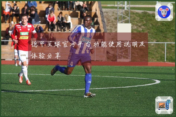 德甲买球官方平台功能使用说明及体验分享